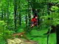 Mountain Bike to play online