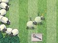 Unruly sheep to play online