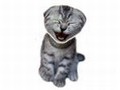 Laughing Cat to play online