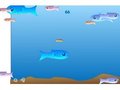 Aquarium fish to play online