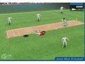 Hot cricket to play online