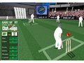 Cricket to play online