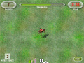 Horse Show Jumping to play online