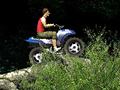 Jungle ATV to play online