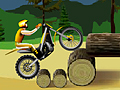 Stunt Dirt Bike to play online