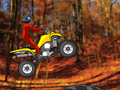 Quad Extreme Racer to play online