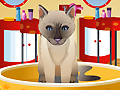 Petz Fashion to play online