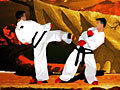 TaeKwon-Do to play online