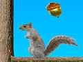 Acorn Toss to play online