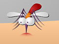 Mosquito to play online