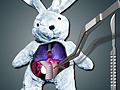 Save The Bunny to play online