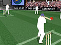 Cricket to play online