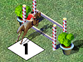 Horse Show Jumping to play online