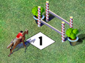 Show Jumping to play online