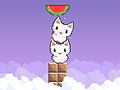 Cat cat watermelon to play online