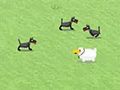 Salvation sheep to play online