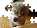 Cute Cat Puzzle to play online