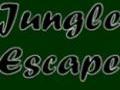 Jungle Escape to play online