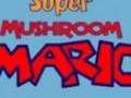 Super Mushroom Mario to play online