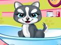 Pets Beauty Salon 2 to play online