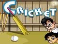 Galli Cricket to play online