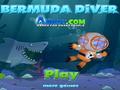 Bermuda Diver to play online