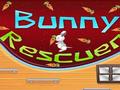 Bunny Rescuer to play online