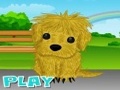 Puppy Needs Owner to play online