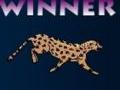 Cheetah Race to play online