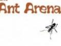 Ants Arena to play online