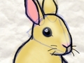 Chinese rabbit to play online