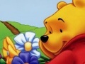 Winnie the Pooh Hidden Object to play online