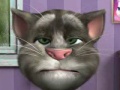 Talking Tom to play online