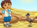 Diego and ostrich races to play online