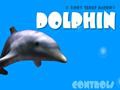 Dolphin to play online