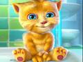 Talking cat Ginger to play online