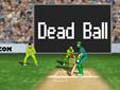 Cricket to play online