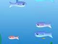 World fish to play online