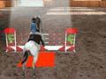 Equestrian 3D to play online