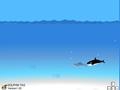 Dolphin Hunt to play online