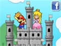 Mario: the protection of the castle to play online