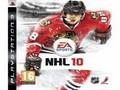 NHL 10 Jigsaw to play online