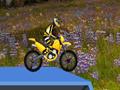 Hillblazer FMX to play online