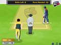 Competitors cricket to play online