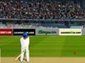 Accelerated cricket to play online