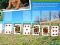 Animal Planet Solitaire to play online