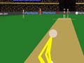 Cann Cricket to play online