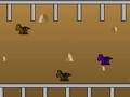 Horse Ranch to play online