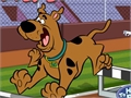 Scooby Doo - Steeplechase to play online