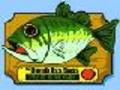 The Singing Fish to play online